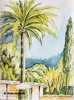 Hotelpalme (Mallorca), 46 x 34 cm